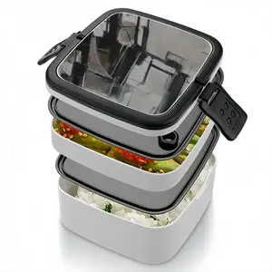 Quiet Desperation No 3 Double Layer Bento Box