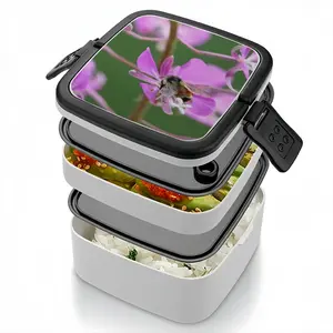 Kahshe Lake Buzzer Bee Double Layer Bento Box