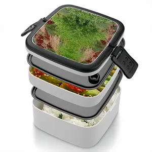 Many Faces Of Sedona Double Layer Bento Box