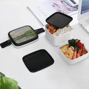 Hot Day Double Layer Bento Box