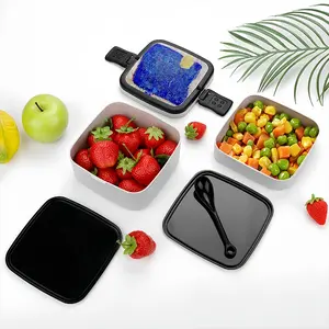 The Sun Of The Night Double Layer Bento Box