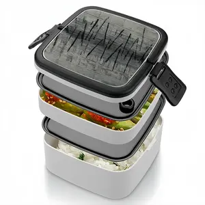 Senkei Double Layer Bento Box