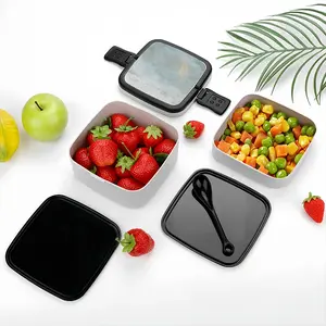 Back To Earth Double Layer Bento Box