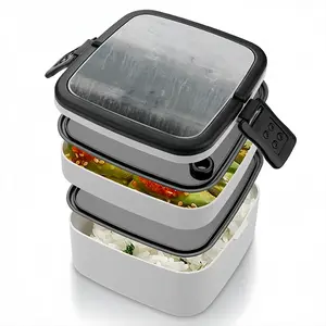 Dark Tears Double Layer Bento Box