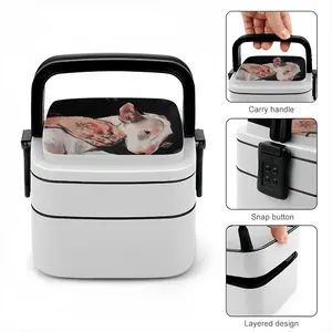 Dog Double Layer Bento Box