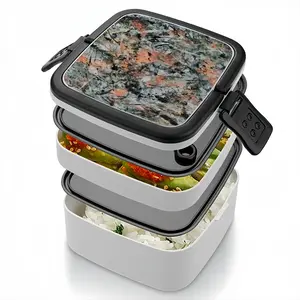 #71-2021 Double Layer Bento Box