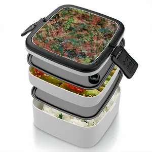 #70-2021 Double Layer Bento Box