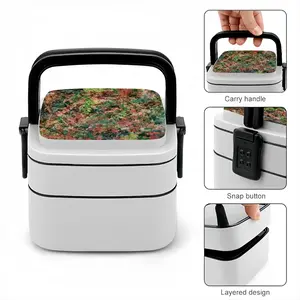 #70-2021 Double Layer Bento Box