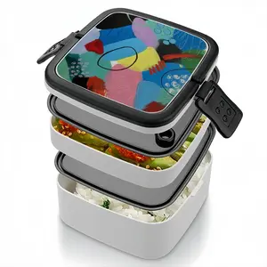 Colors Harmony A Double Layer Bento Box