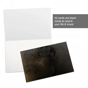 Black Rose Greeting Card