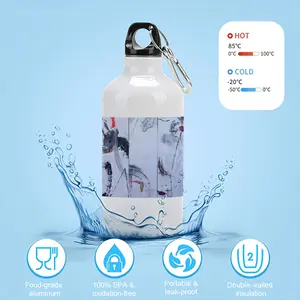 Revolution Sport Water Bottle (Aluminum)