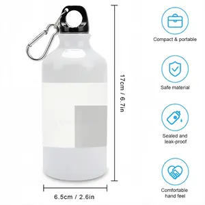 Je Ne Veux Pas Mourir Idiot Sport Water Bottle (Aluminum)