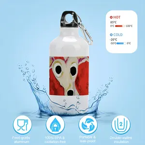 Hoshi Sport Water Bottle (Aluminum)