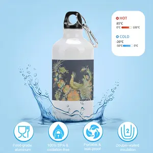 Daydreaming Sport Water Bottle (Aluminum)