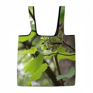 Baby Bird In A Nest Foldable Tote Bag