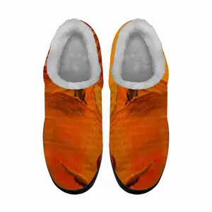 Men Princess Fox Fragment S Cotton Slippers