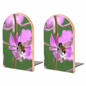 Kahshe Lake Buzzer Bee Bookends