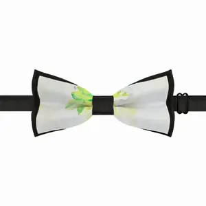 Start Afresh Men's Bow Tie