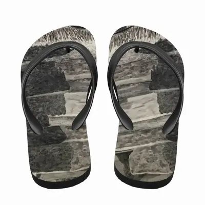 Men Natural History Flip Flop Slippers