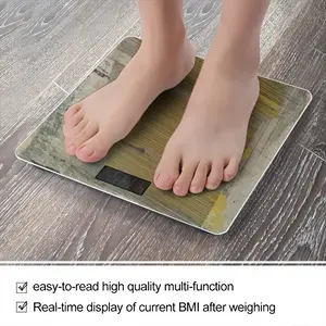 Pi 043 Weight Scale