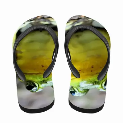 Men Green Frog Chillin Flip Flop Slippers