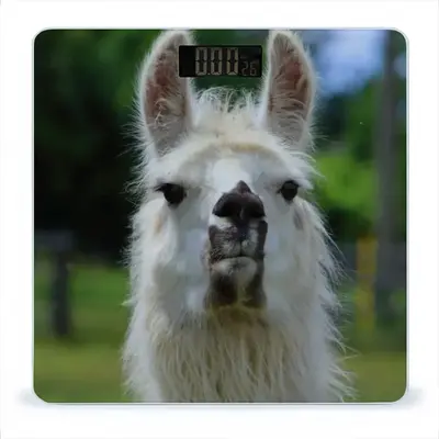 Llama Look Weight Scale