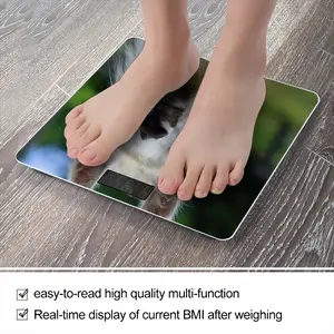 Llama Look Weight Scale