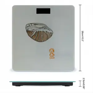 Sea Stones Set Of 8 Weight Scale