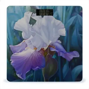 Spring Iris Weight Scale