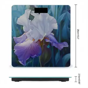 Spring Iris Weight Scale