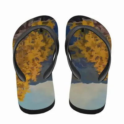 Men Blue Mountains Flip Flop Slippers