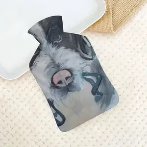 Walk Hot Water Bag