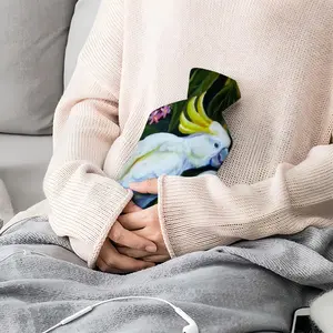 Unexpected Kiss Parrots Hot Water Bag