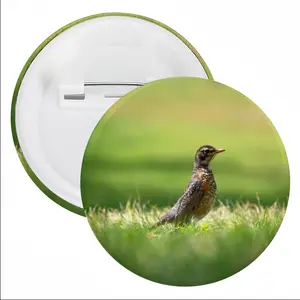 Bird In High Park Grass Tin Plate Badge