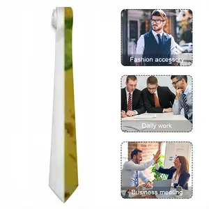 Greenhouse Men's Tie