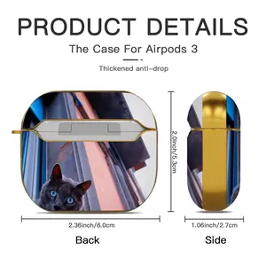 City Cat Airpods 3 Case (Hard Shell, Golden)