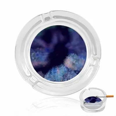 Growth 247 Seconds Glass Ashtray