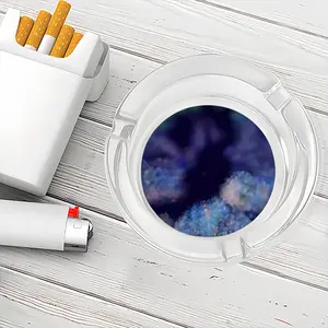 Growth 247 Seconds Glass Ashtray