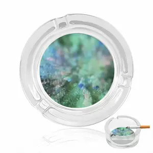 Growth 74 Seconds Glass Ashtray