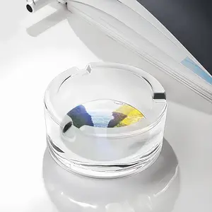 Bird Colony Duncansby Head Glass Ashtray