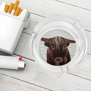 Bull - Red Bull Taurus Animals Buffalo Wild Glass Ashtray