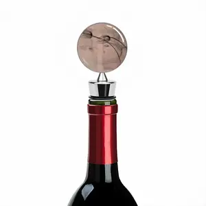 Space 407 Wine Bottle Stoppers