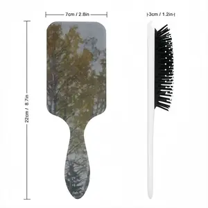 Autumn Sun Air Cushion Comb