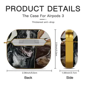 Barking Airpods 3 Case (Hard Shell, Golden)