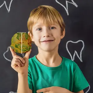 Greenhouse Children's Teeth Box