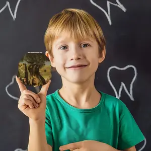 Old Olive Children's Teeth Box