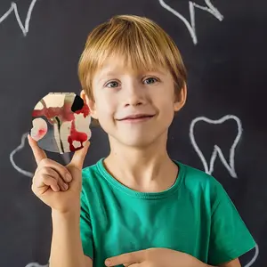 Hibiscus Children's Teeth Box