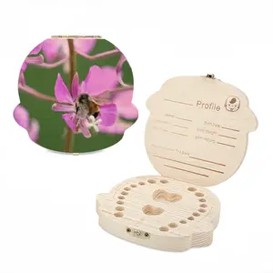 Kahshe Lake Buzzer Bee Children's Teeth Box