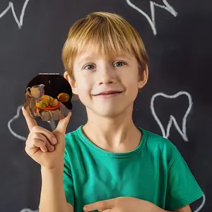 Still Life With Lemon Children's Teeth Box