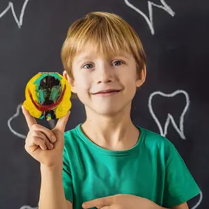 Postmodern Human 2 Children's Teeth Box